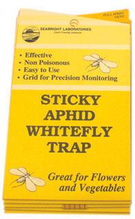 Sticky Aphid Whitefly Trap